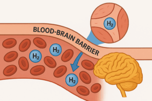 H2 blood brain barrier